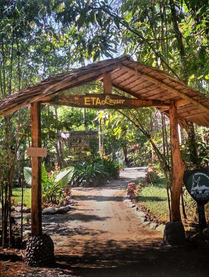 Etalauser Jungle Gate Ecoresort Bukit Lawang Eksteriør billede