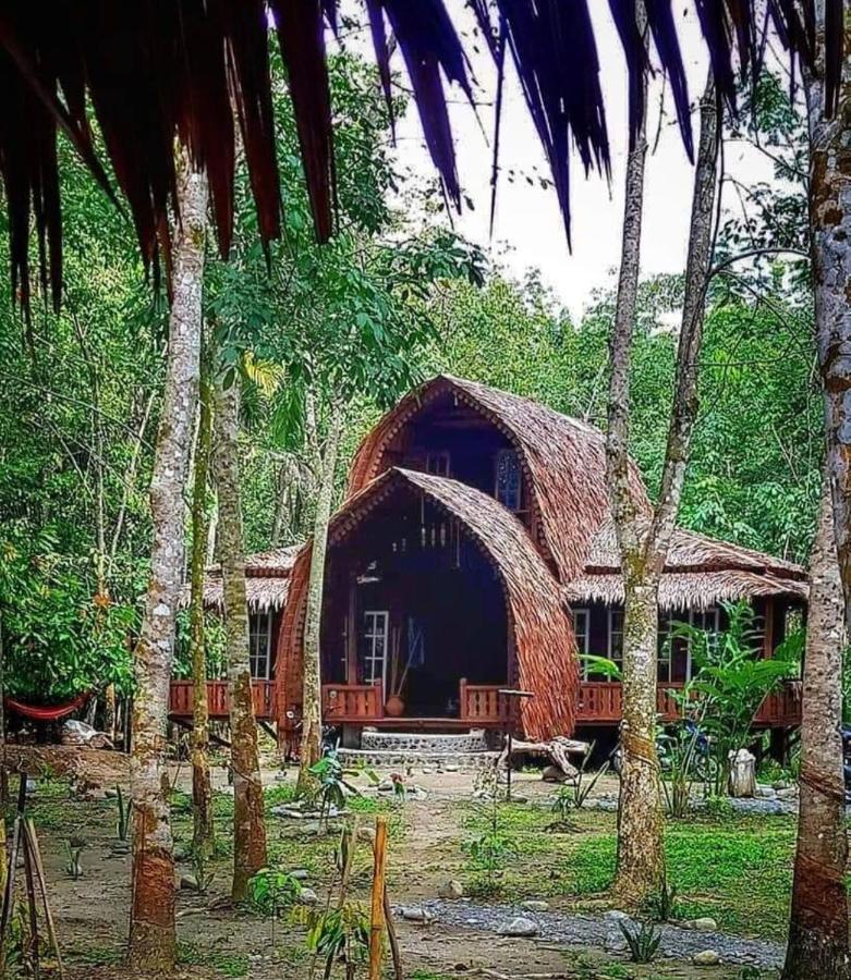 Etalauser Jungle Gate Ecoresort Bukit Lawang Eksteriør billede