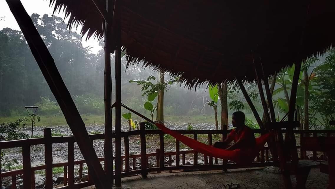 Etalauser Jungle Gate Ecoresort Bukit Lawang Eksteriør billede